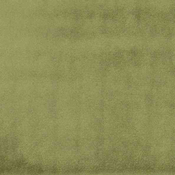 Astra 5283 Grass