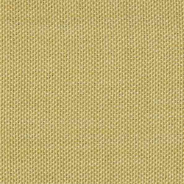 Brussels Mustard