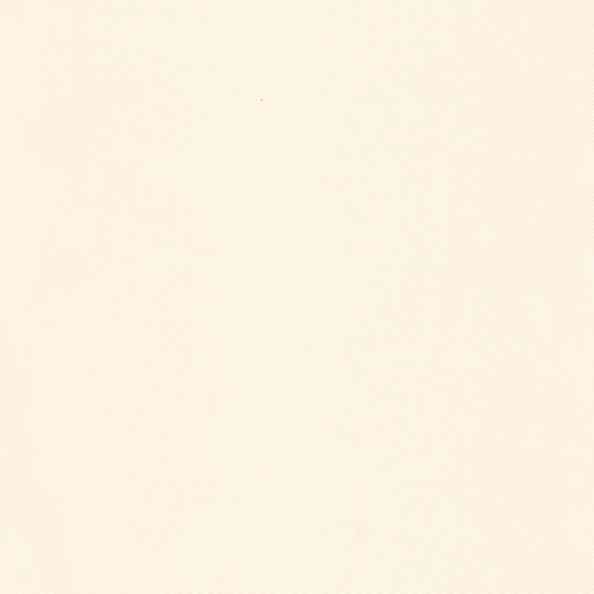 Voile Base J0025 Ecru