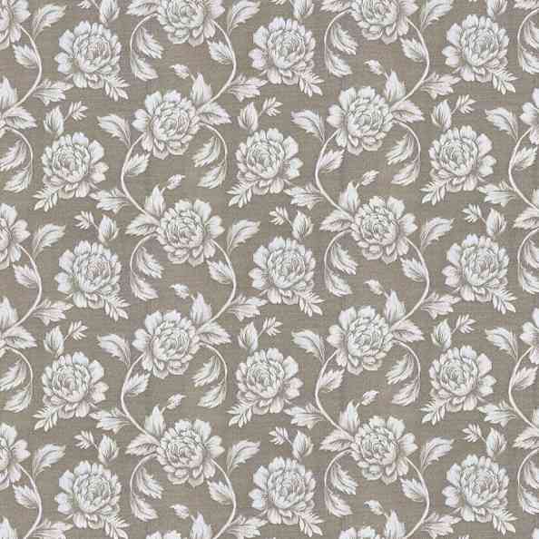 Flora 43135 11 Latte